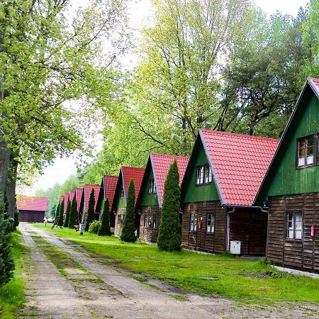 Półwysep Natura Tour Jastarnia Exterior foto